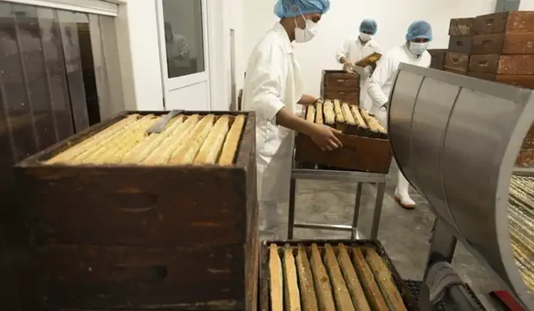 Panaderos en una panadería en Michoacán preparando churros tradicionales.