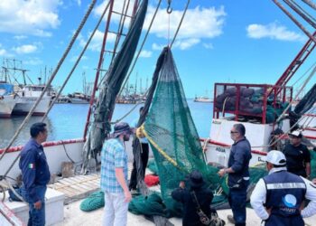 Personas inspeccionan captura de camarón en puerto de Jalisco, con barcos y redes en el fondo, bajo cielo despejado y mar tra.