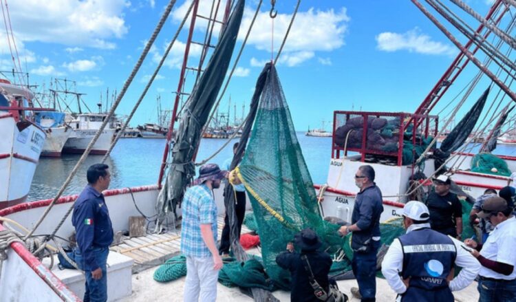Personas inspeccionan captura de camarón en puerto de Jalisco, con barcos y redes en el fondo, bajo cielo despejado y mar tra.