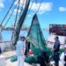 Personas inspeccionan captura de camarón en puerto de Jalisco, con barcos y redes en el fondo, bajo cielo despejado y mar tra.