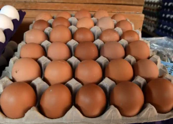 Huevos de diferentes tonos de marrón en una bandeja de cartón en un mercado mexicano.