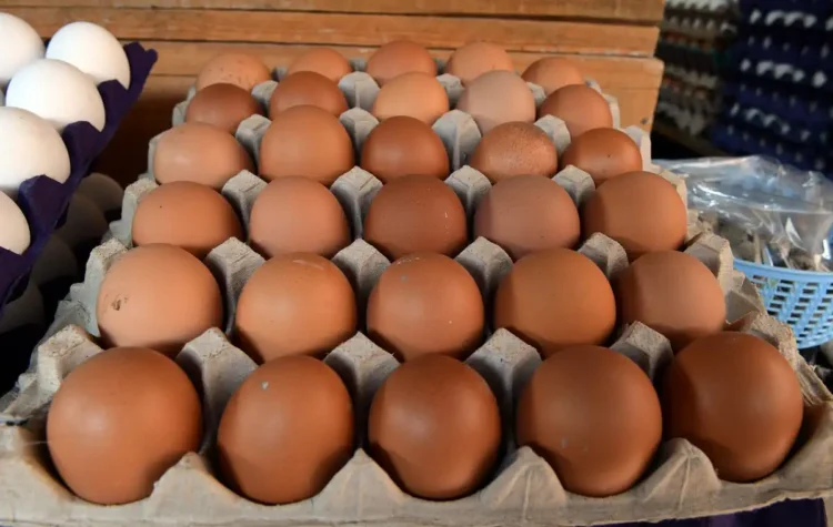 Huevos de diferentes tonos de marrón en una bandeja de cartón en un mercado mexicano.