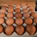 Huevos de diferentes tonos de marrón en una bandeja de cartón en un mercado mexicano.