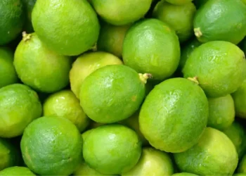 Limas verdes frescas, ideales para cocinar y preparar bebidas en Michoacán y Jalisco.