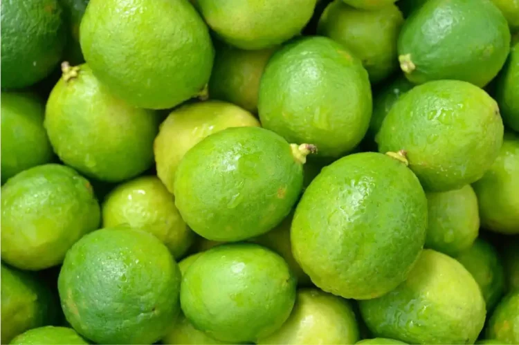 Limas verdes frescas, ideales para cocinar y preparar bebidas en Michoacán y Jalisco.