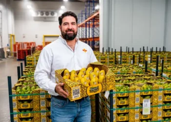 Fábrica de productos agrícolas en Jalisco, México, con un hombre sosteniendo una caja de frutas y verduras frescas en un alma.