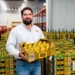Fábrica de productos agrícolas en Jalisco, México, con un hombre sosteniendo una caja de frutas y verduras frescas en un alma.