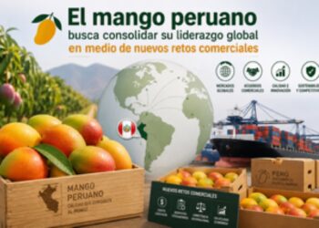 Mango peruano, líder mundial en exportaciones, enfrenta nuevos retos comerciales en su camino hacia consolidar su liderazgo g.