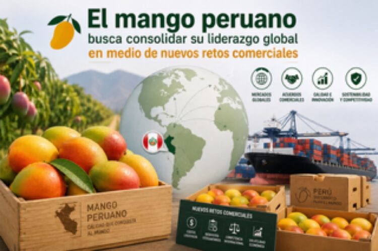 Mango peruano, líder mundial en exportaciones, enfrenta nuevos retos comerciales en su camino hacia consolidar su liderazgo g.