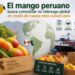 Mango peruano, líder mundial en exportaciones, enfrenta nuevos retos comerciales en su camino hacia consolidar su liderazgo g.
