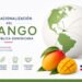 Globalización del Mango Dominicano y Oportunidades Internacionales.