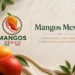 Imagen de dos mangos maduros, uno amarillo y otro rojo, acompañados de hojas verdes, en un fondo natural y elegante.