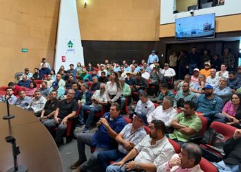 Expertos y productores analizan las mejores prácticas y tendencias del mercado del mango en la región de Los Mochis.