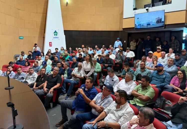 Expertos y productores analizan las mejores prácticas y tendencias del mercado del mango en la región de Los Mochis.