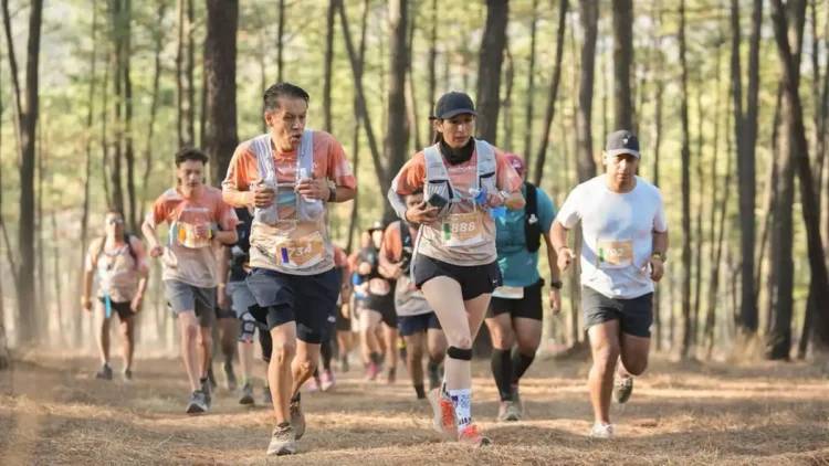 Participantes corriendo en una carrera de trail en un bosque, con árboles altos y luz solar filtrándose entre las hojas.