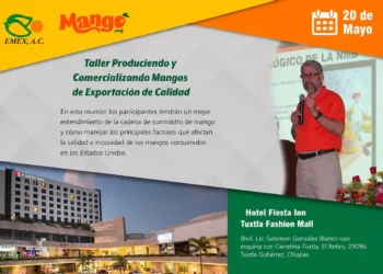 Imagen de un conferencista en un taller sobre exportación de mangos en un evento regional.