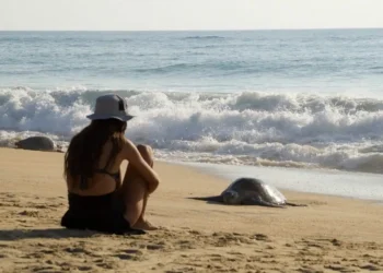 Mujer sentada en la playa observando una tortuga marina en la arena, con el mar y las olas de fondo, en un día soleado y tran.