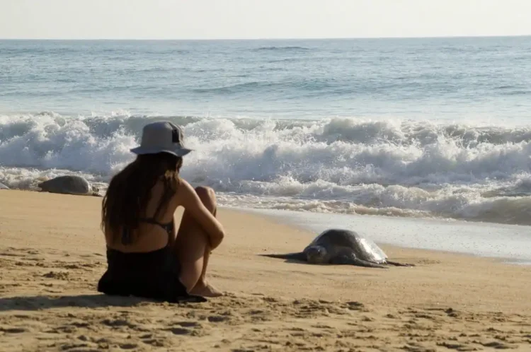 Mujer sentada en la playa observando una tortuga marina en la arena, con el mar y las olas de fondo, en un día soleado y tran.