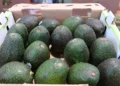 Aguacates verdes en caja de cartón en un mercado de Michoacán, con fondo difuso de otros productos y puestos.
