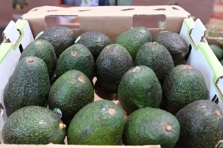 Aguacates verdes en caja de cartón en un mercado de Michoacán, con fondo difuso de otros productos y puestos.