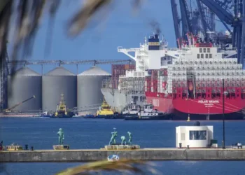 Grúa portuaria y buque de carga en el puerto de Manzanillo, Michoacán, con silos y barcos en el fondo.