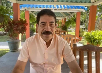 Hombre sentado en terraza con plantas y sombra en Michoacán, disfrutando del clima y la naturaleza en un espacio al aire libr.