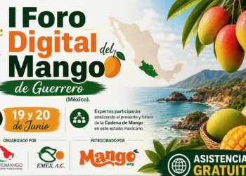 Mangos maduros y verdes en un cesto, con fondo de paisaje costero y montañas, en un cartel del foro del mango en Guerrero.