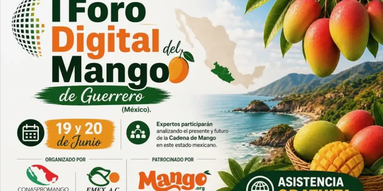 Mangos maduros y verdes en un cesto, con fondo de paisaje costero y montañas, en un cartel del foro del mango en Guerrero.