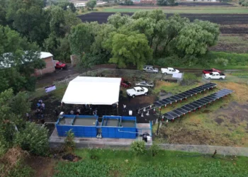 Paneles solares instalados en un área de cultivo con vehículos y árboles alrededor.