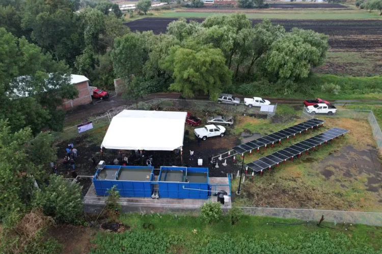 Paneles solares instalados en un área de cultivo con vehículos y árboles alrededor.