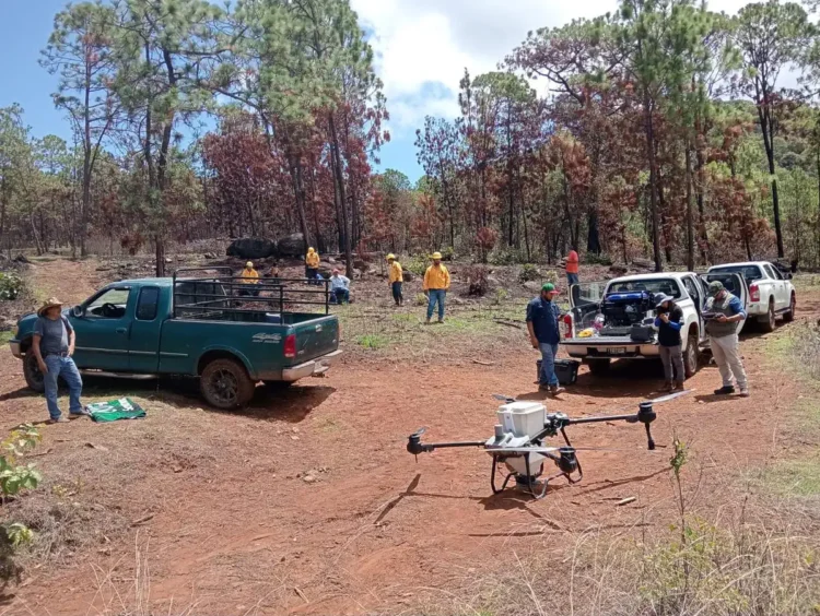 Drones sobre campo de tierra con vehículos y personas en Michoacán durante siembra de semillas.