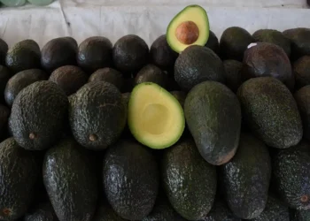 Aguacates frescos de Michoacán con uno partido mostrando su interior verde y semilla.