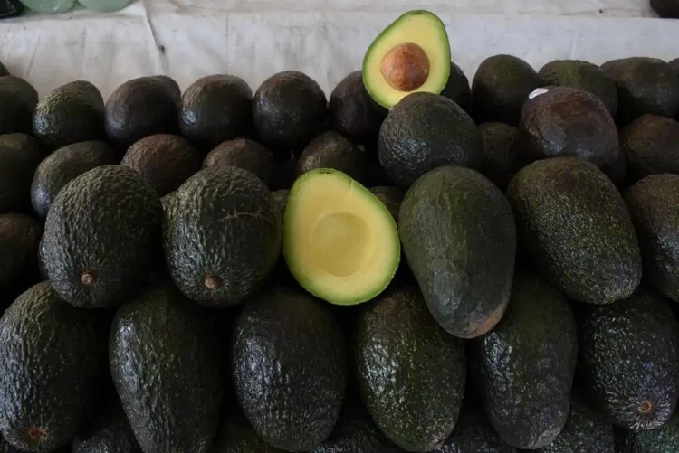 Aguacates frescos de Michoacán con uno partido mostrando su interior verde y semilla.