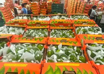 Cajas de limones veracruzanos en un mercado, listos para exportación internacional.