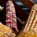 Mazorca de maíz multicolor en un puesto de mercado mexicano con fondo oscuro.