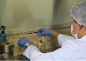 Técnico en laboratorio con bata, guantes y mascarilla manipulando muestras en un entorno controlado.