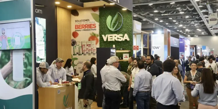 Grupo de personas en stand de Versa en feria de berries, exhibiendo soluciones agrícolas innovadoras en Jalisco.