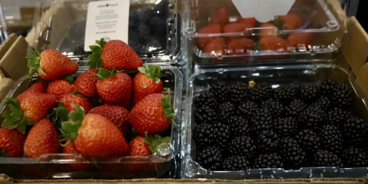 Fresas, zarzamoras y frambuesas frescas en envases plásticos en exhibición en tienda.