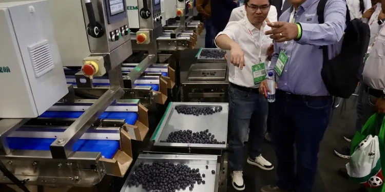 Personas inspeccionan maquinaria de procesamiento de berries en una feria agrícola en Jalisco.