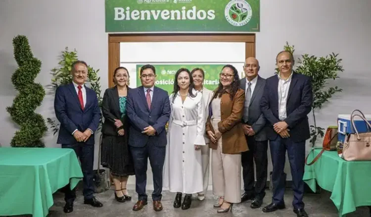 Grupo de profesionales en un evento de reconocimiento en un espacio cerrado con decoraciones verdes y mesas con manteles.