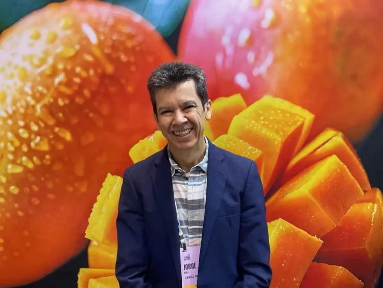 Hombre sonriendo con fondo de mangos maduros y en cubos en Jalisco.