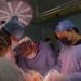 Equipo médico realiza trasplante de órganos en quirófano con iluminación especializada y personal en bata y mascarillas.