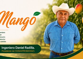 Ingeniero Daniel Radilla en huerto de mangos, con árboles y frutos maduros en fondo.