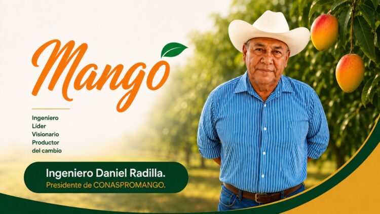 Ingeniero Daniel Radilla en huerto de mangos, con árboles y frutos maduros en fondo.