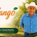 Ingeniero Daniel Radilla en huerto de mangos, con árboles y frutos maduros en fondo.