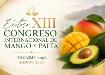 Mango, palta y lima en exhibición en el Congreso de Mango y Palta en Casma Perú.