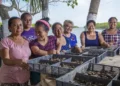 Mujeres en investigación pesquera en México, trabajando con muestras en un entorno natural junto a un río.