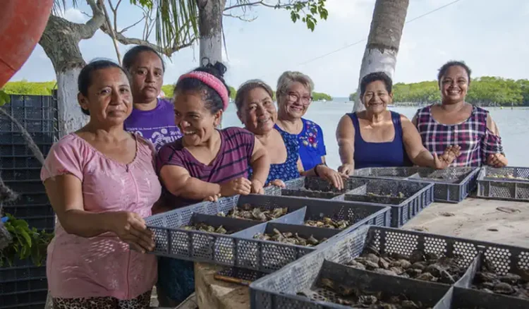 Mujeres en investigación pesquera en México, trabajando con muestras en un entorno natural junto a un río.