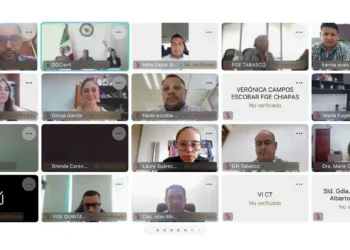 Reunión virtual de la Fiscalía General del Estado de Michoacán con funcionarios y expertos en protección infantil.