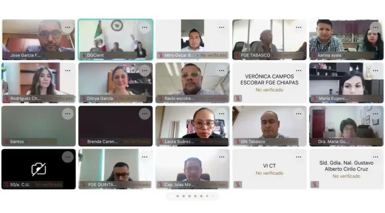 Reunión virtual de la Fiscalía General del Estado de Michoacán con funcionarios y expertos en protección infantil.